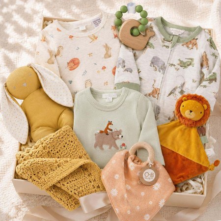 Deluxe Baby Boy Gift Hamper